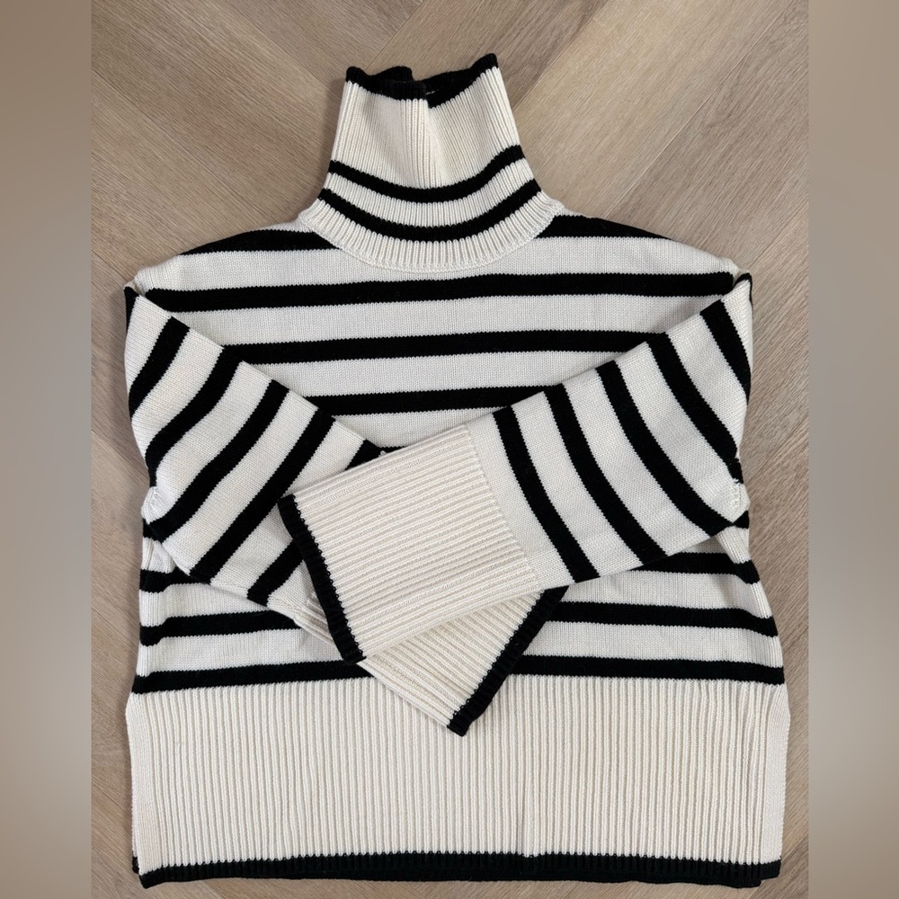 Stripe Turtleneck Sweater